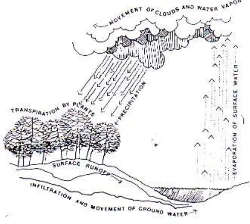 Gambar 4.  Siklus Hidrologi (Brooks, 1988) 