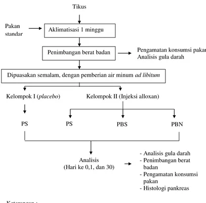 Gambar 3. Prosedur Bioassay 