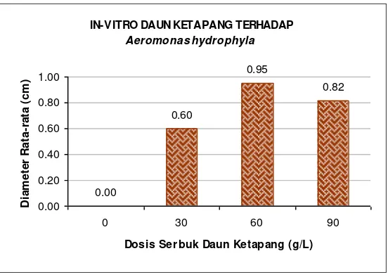 Gambar 1. Diameter Zona Hambat Ekstrak Daun Ketapang Terminalia cattapa terhadap A.hydrophila 