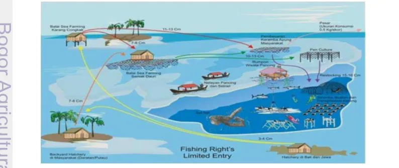 Gambar 6  Kerangka konseptual sistem pemanfaatan sumber daya laut dangkal  