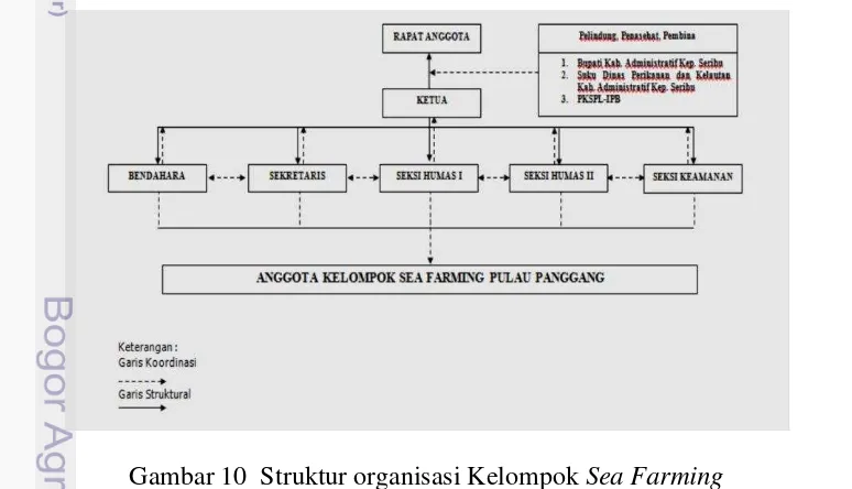 Gambar 10  Struktur organisasi Kelompok Sea Farming 