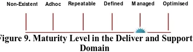 Figure 9. Maturity Level in the Deliver and Support Domain 