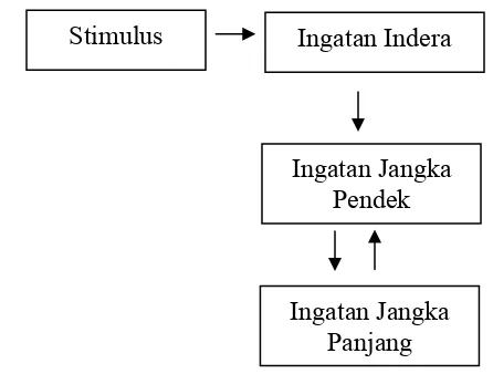 Gambar 1. Model Sistem Stimulus dalam Ingatan. 