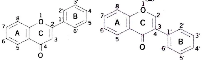 Gambar 3  Struktur dasar flavonoid 