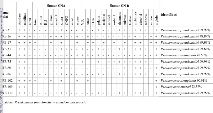 Tabel 1 Identifikasi Pseudomonas sp. CRB yang mempunyai karakter biokontrol menggunakan kit fisiologis Microgen™