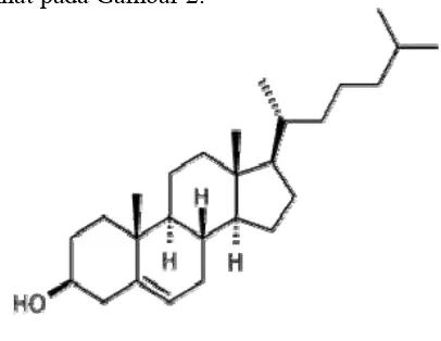 Gambar 2  Struktur kimia kolesterol 