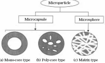 Gambar 5 Morfologi mikrokapsul (Yoshizawa 