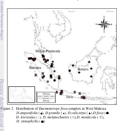 Figure 2   Distribution of Daemonorops fissa complex in West Malesia  