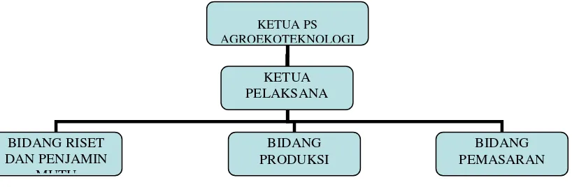 Gambar 2. Skema Struktur Pengelola IbIKK 