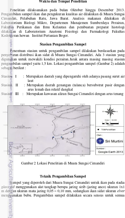 Gambar 2 Lokasi Penelitian di Muara Sungai Cimandiri 