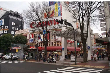 Gambar 10 : Yokohama China Town 