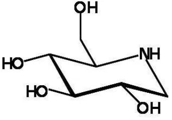 Gambar 2 Struktur bangun senyawa 1-deoxynojirimycin  (Kimura et al. 2004) 