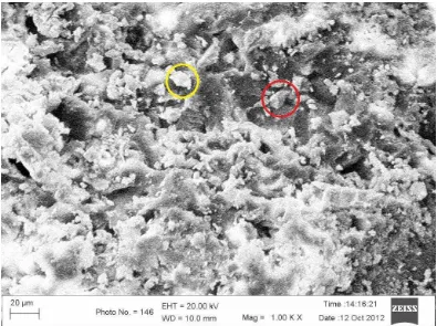 Gambar 2.2. Foto Scanning Eletron Microscope (SEM) beton polimer untuk  kode BP3 yaitu 80% agregat total, 20% filler abu batu, dan 25% resin epoksi