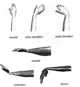 Figure 2.2: Neutral vs. Awkward Wrist Postures 
