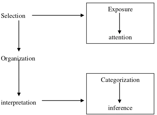 Gambar 1.The Perceptual Process 