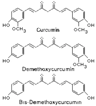 Gambar 2. Struktur Kimia Curcuma longa Linn. 