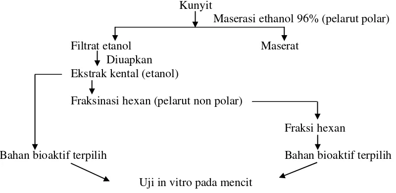 Gambar 4. Diagram alir metode ekstraksi rimpang kunyit 