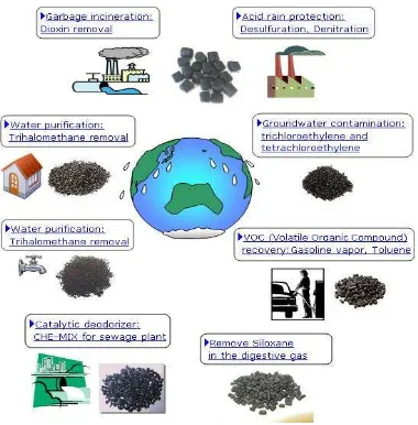 Figure 2.1: Application of activated carbon. 