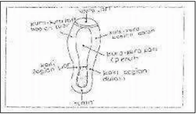 Gambar 2.12. Perkenaan kaki dengan bola  Sumber : Sukatamsi (1989:56)  