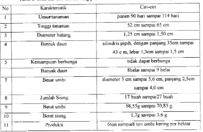 Tabel 2 Sifat dan ciri-ciri bawang putih varietas Lumbu Putih (Sumber Liptan, 1988).