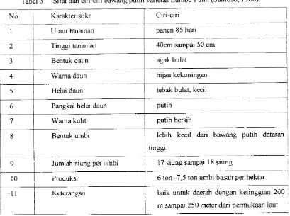 Tabel 3 Sifat dan ciri-ciri bawang putih varietas Ciri-ciri Lumbu Putih (Santoso, 1988)