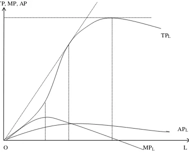 GAMBAR 2.2 Hubungan antara Produksi Total, Produksi Marginal, dan Produksi Rata-rata dari 