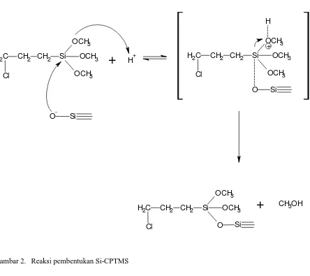 Gambar 2. Reaksi pembentukan Si-CPTMS