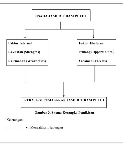 Gambar 3. Skema Kerangka Pemikiran 