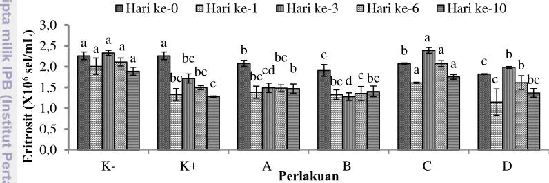 Gambar 4 Total eritrosit ikan patin selama uji tantang dengan A. hydrophila. 