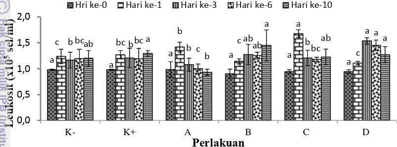 Gambar 7 Total leukosit ikan patin selama uji tantang dengan A. hydrophila. 