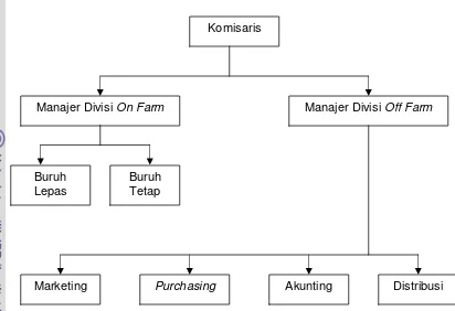 Gambar 4. Struktur Organisasi Sentra Agro Mandiri, 2008 