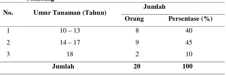 Tabel 13. Pengalaman Pegrajin dalam Pengolahan Gula Aren di Desa  Mancang 