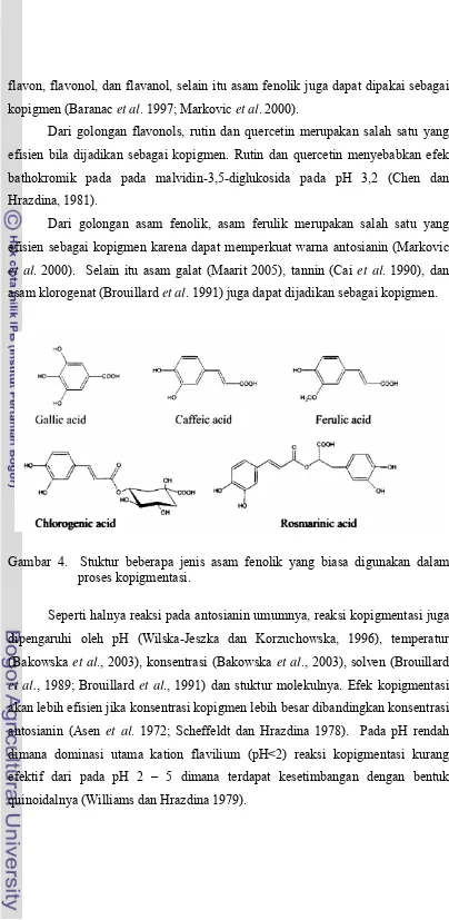 Gambar 4.  Stuktur beberapa jenis asam fenolik yang biasa digunakan dalam 