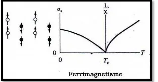 Gambar 2.10 Arah domain dan kurva bahan ferrimagnetik 