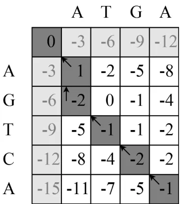 Gambar 2  Matriks penjajaran sekuens AGTCA dan ATGA 