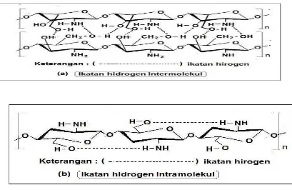 Gambar 2.4 jembatan hidrogen pada molekul kitosan (a) intermolekuler (b) 