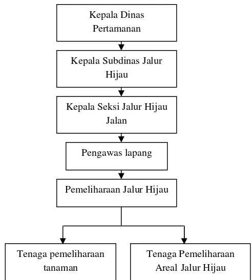 Gambar 4. Struktur organisasi pengelolaan Jalur Hijau Jalan Jenderal Sudirman 