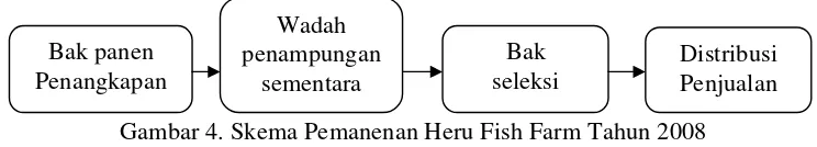Tabel 3. Periode produksi dan Ukuran Masing-masing Jenis Ikan yang di Produksi Heru Fish Farm Tahun 2008 