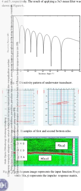 Fig. 2.  Directivity pattern of underwater transducer.  