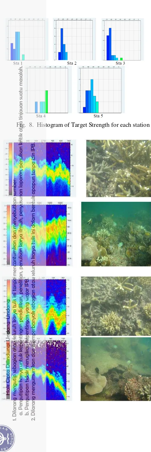 Fig.  9.  Shallow water imaging and underwater video from Sta. 1 to 5, consecutively. 