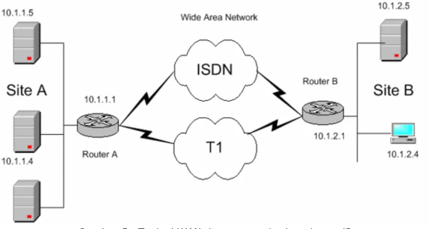 Gambar 5.  Typical WAN dengan pemberian alamat IP