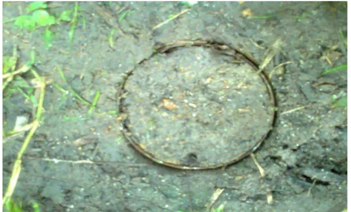 Gambar 1.Pengambilan sampel tanah dengan ring sampel 1 ( diameter : 4 cm,  tinggi : 5 cm) 