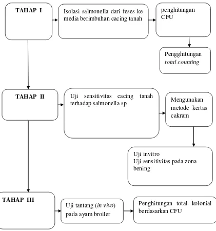 Gambar 1. Kerangka metode penelitian efektivitas pengendalian Salmonella sp dengan berbagai 