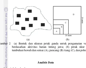 Gambar 2  (a) Bentuk dan ukuran petak ganda untuk pengamatan vegetasi 