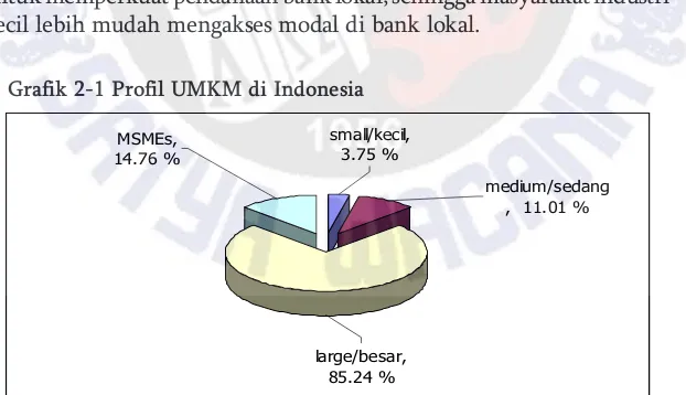 Grafik 2-1 Profil UMKM di Indonesia