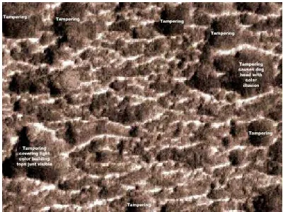 Figure 2.1: An example of rough Natural Terrain. 