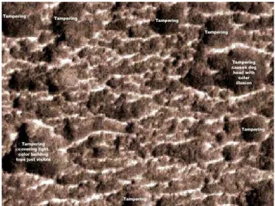 Figure 2.1: An example of rough Natural Terrain. 