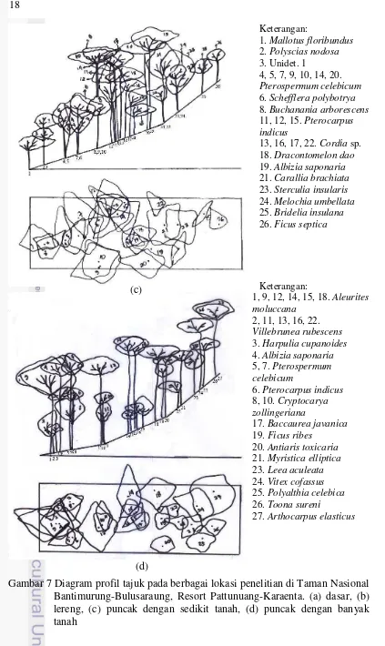 Gambar 7 Diagram profil tajuk pada berbagai lokasi penelitian di Taman Nasional 