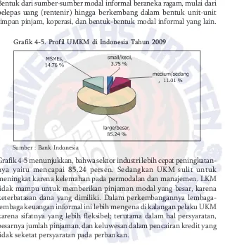 Grafik 4-5. Profil UMKM di Indonesia Tahun 2009