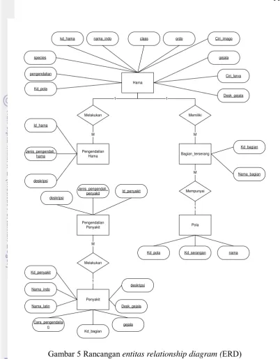 Gambar 5 Rancangan entitas relationship diagram (ERD) 